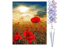 CaptainCrafts Paint by Numbers, Flowers DIY Oil Painting Paint by Numbers Kits for Adults with Canvas Pigments Brush Warm Gifts Home Decor 16x20 Inch Poppy Red Flowers Prairie (Frameless)