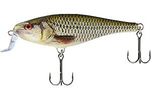 Rapala Super Shad Rap Lure with Two No. 3/0 Hooks, 1.5-2.7 m Swimming Depth, 14 cm Size, Live Roach