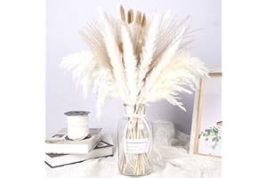 LZGS GO SWING BANDS Flores secas Decoracion Pampas Secas Decoracion Ramo Flores Secas Naturales DIY Ideal para Salón Boho Dormitorio Jarrones (LZGSGO-0102)