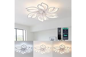 WDENI Ventilatore da Soffitto con Luce LED Regolabile, 65 cm, 3 Colori Luce e 6 Velocità, Telecomando Incluso.