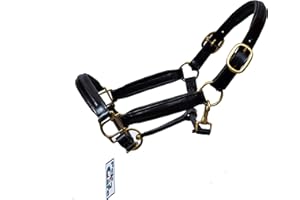 Pets2Care LEATHER HORSE HEAD COLLAR FULLY RAISED AND PADDED BLACK COLOR BRASS FITTING SIZE COB