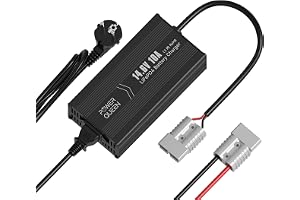 Power Queen 14,6 V 10 A LiFePO4 batteriladdare, 2-stegs automatisk intelligent LiFePO4 litiumbatteriladdare lämplig för 12 V