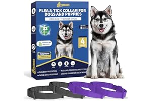 YOTANGO Collares Antiparasitarios para Perros, 32 Meses de Protección, Collar Antipulgas para Perros, 4 Pcs Collar de Pulgas y Garrapatas para Perros de Todos los Tipos-Noir y Violeta