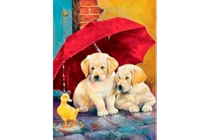 MXJSUA Pittura Diamante 5D Diamond Painting Kit Completo Drill, Cani e Anatra Pittura Diamante FAI DA TE, DIY Strass Ricamo a Punto Croce Completo Kit Mosaico Craft Arts for Home Wall Decor 30x40cm