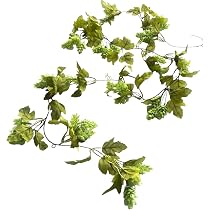 Knstliche Hopfengirlande 180 cm grn, realistische Dekoration Hopfen Ranke  mit detailgetreuen Dolden - Amazon.de