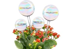 Tomorotec Opalizujące szklane samonawadniające się kule 4-pak (2 duże + 2 małe), dekoracyjne, ręcznie dmuchane tęczowe szklane żarówki do nawadniania, automatyczne nawadnianie roślin wewnętrznych i