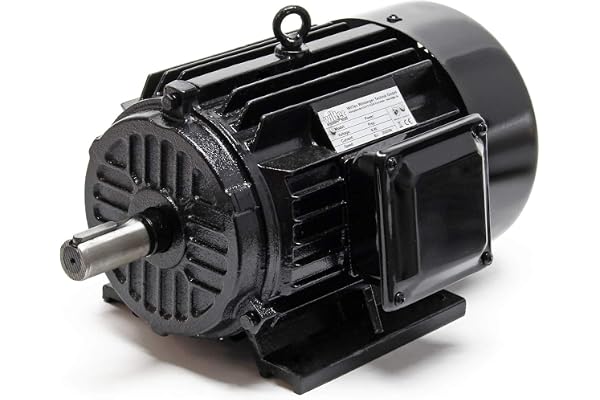 Professionell 3-fas elmotor i koppar. 2-polig 400 V 3 kW i konstruktion B3 med 2840 varv/m och skyddsklass IP44