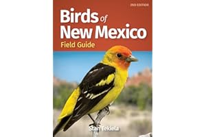 Birds of New Mexico Field Guide