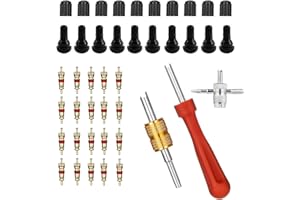 DOKEI 43 Piezas Herramientas de Núcleo de Válvula de Neumático, Valvulas para Neumaticos Moto Extractor de Núcleo de Válvula de 4 Vías Válvula de Goma TR412 Obus Aire Acondicionado