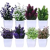 amazon basics Artificial Plants with Pot|Realistic Looking| Multi Variety |Durable Plastic | No Maintenance | Home Decor | Di