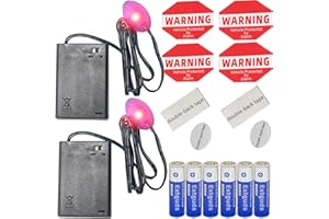 CARBONMAN Fake Car Alarm, Dummy Car Alarm,(Batteries Included) LED Light Simulate Imitation Security System, Warning Anti-Theft Flash Blinking Lamp (2Pack, Red)