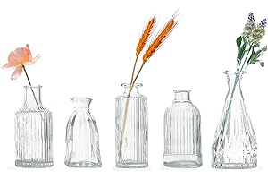VIYMGIT Glas-Budenvasen-Set mit 5 Stück, Mini-Klare Budenvase für Großbestellungen, Kleine Vintage-Blumenvasen für Hochzeiten, Partys und dekorative Tischdekoration zu Hause
