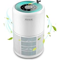 PUREBURG Filtro di ricambio compatibile con i purificatori d'aria Air