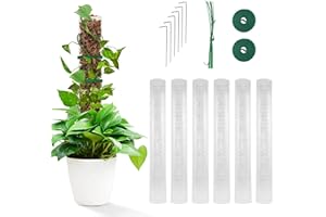 MUMISUTO Pręty do mchu do roślin, 6 sztuk, 6 sztuk, Monstera, zestaw prętów do roślin pnących, pomoc dla roślin pnących, pomoc dla roślin pnących, tworzywo ABS, naturalny pręt do roślin, podpora dla roślin