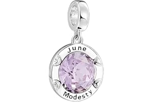 AMATOLOVE Jan-Dec Birthstone Charms for Bracelets Happy Birthday Bead Charm Gifts for Women Girls,Brilliant Round Heart Shape CZ for Choice