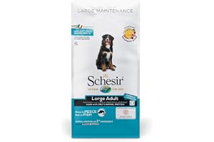 Schesir, Stor storlek vuxen hundfoder, fisksmak, underhållslinje, kroketter – format 12 kg väska