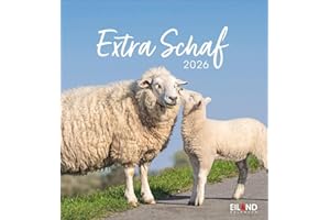 Extra Schaf Postkartenkalender 2026: Ein kleiner Kalender zum Aufstellen und Aufhängen. Süße Schafe in allen Lebenslagen in einem Postkarten-Fotokalender. (Postkartenkalender Eiland)