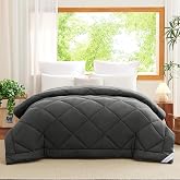 WAVVE Duvet Filling 220 x 240 cm for 135/150/160 Beds, 300 g/m&sup2; Fibre Duvet, Lightweight, Soft, Breathable (240 x 220 cm, Gre