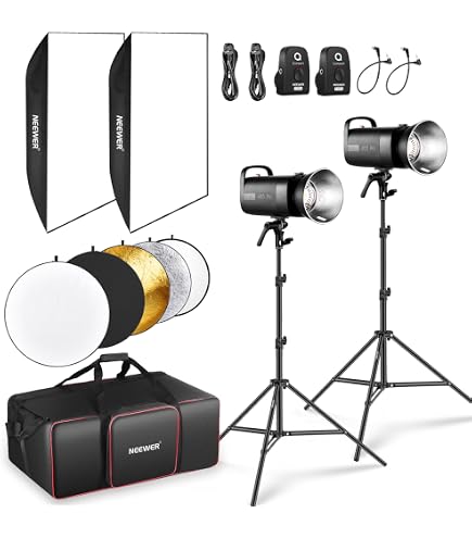 Elinchrom Studio Flash D-Lite RX 4, Monolight for Photography (UK