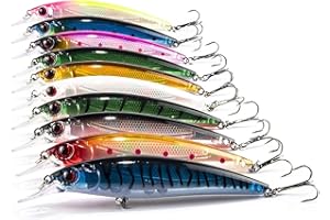 Aozzy Decoy Set de 10 leurres Appât de pêche aux leurres pour Les Poissons prédateurs pour Le brochet