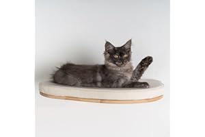 RHRQuality Cat Shelf Cat Lounger Wall Furniture Cat Bed de Luxe XXL Wall Mounted Wall Board (up to 20 kg) 53 cm for Large Cats (Beige)
