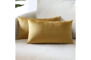 Sungeek Confezione da 2 Federe in Velluto, Fodere per Cuscini Decorativi Morbidi Copricuscini Divano di Lusso per Divano Letto Soggiorno Camera da Letto (30x50cm, Oro)