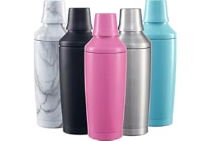 FABV Coctelera de cóctel lista para regalo con tapa Jigger Spirit – 600 ml aislada al vacío de acero inoxidable para cócteles – Mezclador de cóctel con colador de cóctel incorporado (Aurora Pink)