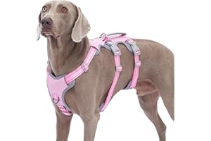 Huntboo Escape Proof Dog Harness, No Pull Reflective Harness with Lift Handle, Adjustable Pet Vest with Front and Back Leash Clips for Small Medium Large Dogs Walking Hiking Training (Pink,L)