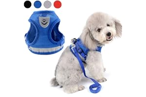 Zunea Harnais pour Chien pour Petit Chien Chat sans Tirer Harnais Ajustable en Maille Filet Souple rembourré Vest Harnais Laisse avec Ensemble de Bande réfléchissante Chiots Laisse pour Chien