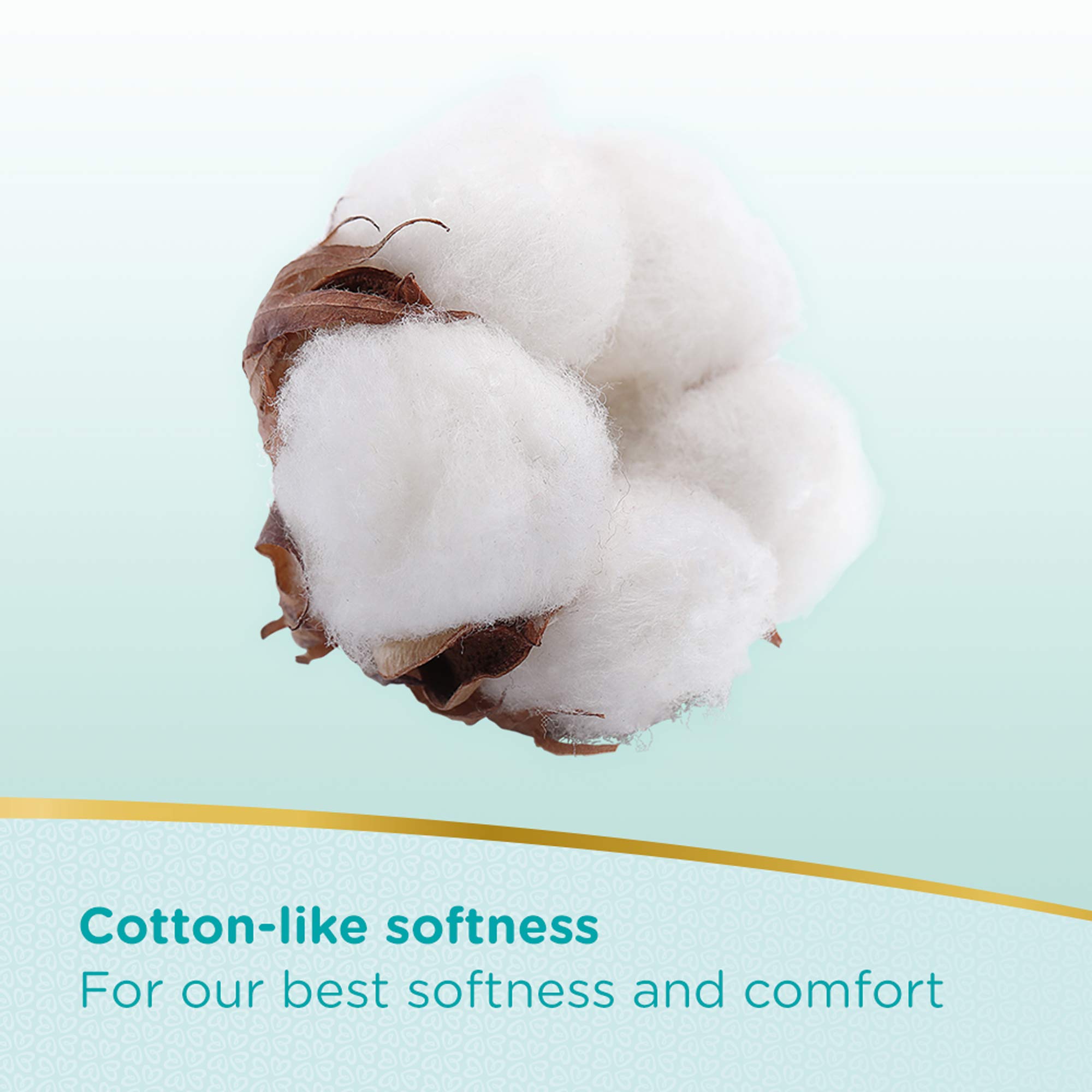 pampers premium care pants xl 72