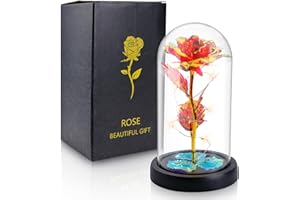 Lian Birthday Gifts for Women, Mothers Day Flowers Gifts for Mom Wife from Kids Daughter Son Husband, Rainbow Light Up Rose in A Glass Dome Gifts for Mom Wife, Mother's Day, Christmas Day