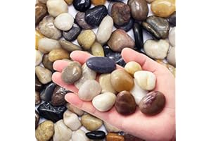 Natural Decorative Mixed Color Pebbles, LONTOM 2.2LB Polished River Rock Stones for Plants Vase Fish Tank Aquariums Landscaping Succulents Garden Outdoor and Indoor DIY Crafting, Medium
