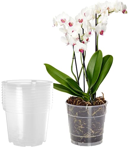 Pots à Orchidées Transparents Avec Trous De Drainage - Plastique épais, Tailles 10 à 16 Cm