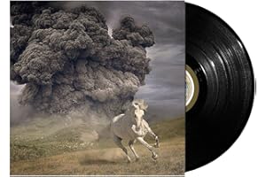 Year Of The Dark Horse