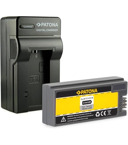 DSTE 2-Pack Rechange Batterie Compatible Pour Sony NP-FC10 NP-FC11 DSC-F77 DSC-FX77 DSC-P2 DSC-P3 DSC-P5 DSC-P7 DSC-P8 DSC-P9 DSC-P10 DSC-P12 Caméra