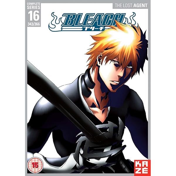  Bleach Collection 14, Episodes 194-205, Anime & Manga, NON-USA Format, PAL