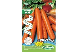 Germisem Carrot Mix Trio Zanahorias Semillas en Cinta de 6 m, EC9062