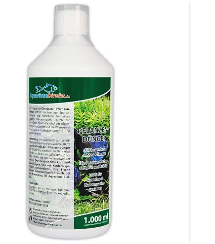 dünger glückskastanie Glückskastanie (Pachira aquatica) kaufen main image 1