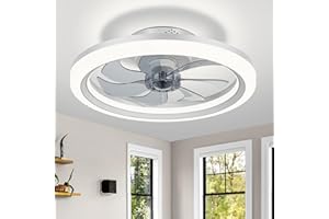 DWDVBL Ventilateur de plafond moderne de 50 cm avec lumière et télécommande Lustre Ventilateur de Plafond Smart 6 Vitesses DC Ventilateur de Plafond Lustre Ventilateur