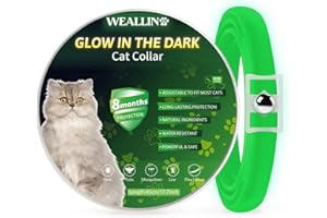 WEALLIN Si Illumina al Buio Collare Antipulci per Gatti, Collare Antiparassitario per Gatti con Protezione Efficace di 8 Mesi, Impermeabile Regolabile Collare Antipulci Gatto, Verde(1 Pc)