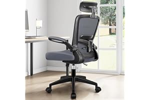 FelixKing - Silla de oficina ergonómica, silla de escritorio con reposacabezas ajustable, reposabrazos, soporte lumbar, respaldo alto, silla de ordenador, capacidad de carga de 136 kg, gris oscuro