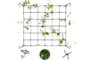 ‎HICAS Pflanzennetz Scrog Mit 4 Haken - Elastisches Gartennetze, Hydrokultur Growroom Net Zelt, Pflanzenstütznetz, Rankgitter (60x60cm)