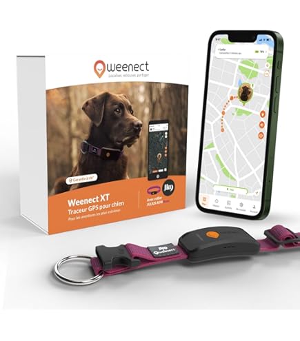 Traceur GPS Pour Chien Sans Abonnement - 12 Mois Inclus, étanche, Alerte Anti-fugue, Suivi Activité