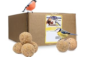 Lyra Pet® 100 Boules de Graisses à 90 g = 9 kg | Nourriture pour Oiseaux Toute l'année | Fournisseur d'énergie pour Les Oiseaux Sauvages | Riche en minéraux | Gras & Nutritif | Mangeoires