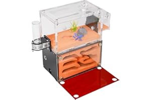 Rimsunta Ant Farm House for Adults - Two Floor Formicarium for Live Ants and Queen - Educational Terrarium for Study of Ant Behavior