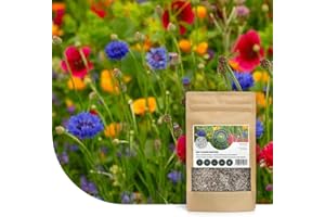 MRS SEEDS & MIXTURES Mélange de fleurs pour prairie d'abeilles | 50g - 25 m² | Mélange de graines de fleurs multicolores : annuelles et vivaces | Source de nourriture pour abeilles, bourdons et papillons