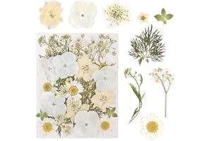 Cleminsta Fiori Pressati Secchi Multicolori, Veri Fiori Secchi per Candele e Decorazioni, Fiore Secco Compresso Naturale per Bellezza Creativa, Progetti Artistici, Scrapbooking, Resina (Bianco)