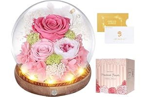 MAMAMIKO Preserved Roses in Glass Dome with LED Light - Long Lasting Real Flowers, Forever Flowers for Special Moments, Flowers Roses for Valentines Day Gifts, Mothers Day, Birthday Gifts for Women, Pink