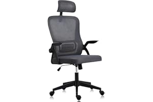 AnYu Furniture Silla de Oficina Ergonómica, Silla para Juegos con Soporte Lumbar, Silla de Oficina con Patas de Plástico, Asiento de Oficina Cómodo con Bracciolo 2D