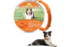 Surglam Collare Calmante per Cani, Collari per Cani Anti-ansia Regolabili, Collare ai Feromoni Calmante a 60 Giorni Lunga Durata Impermeabile Naturale Arancione